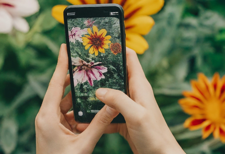 Vivid Visions: 3D Garden Magic – Plant Augmented Reality at its Finest