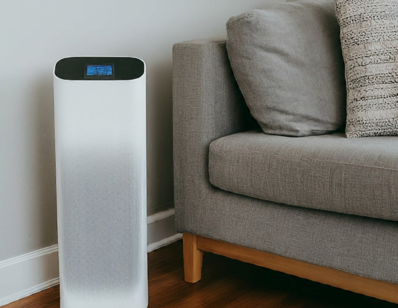 5 Superior Air Purifiers for Mold to Ensure a Healthier Home